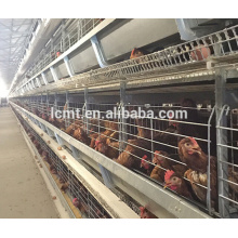 Diseño moderno de granja de pollos para equipamiento avícola automático